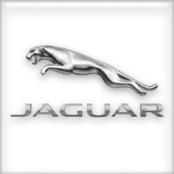 jaguar-logo-avorza.jpg
